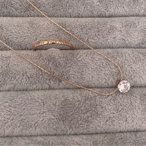 2 Piece Jewelry Set Titanium Steel w 14K Rose Gold Plating